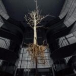 Комплекс відпочинку Emily resort в м. Львів - фоє